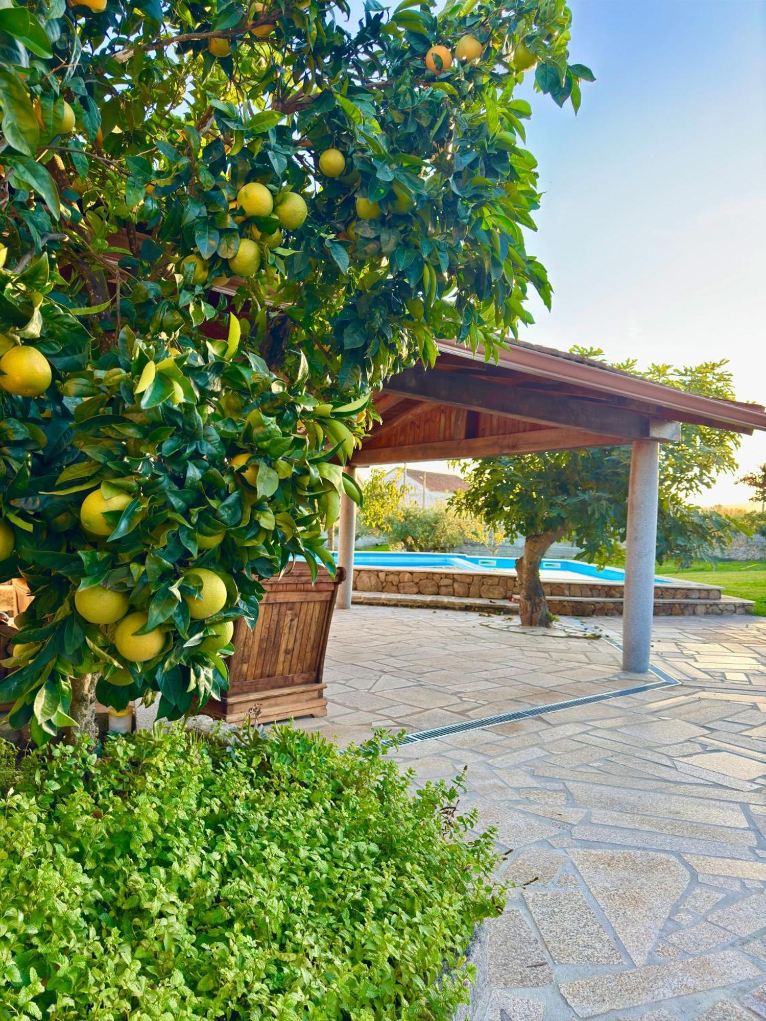 Quinta Do Nobre Villa Marialva Exterior photo